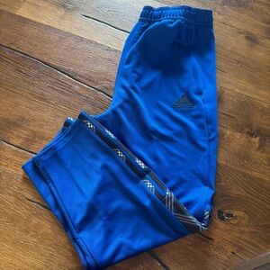 Adidas Men’s Blue Athletic Track Pants